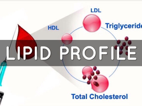 Lipid Profile or Cholesterol Panel Lab Tests | VIP Lab