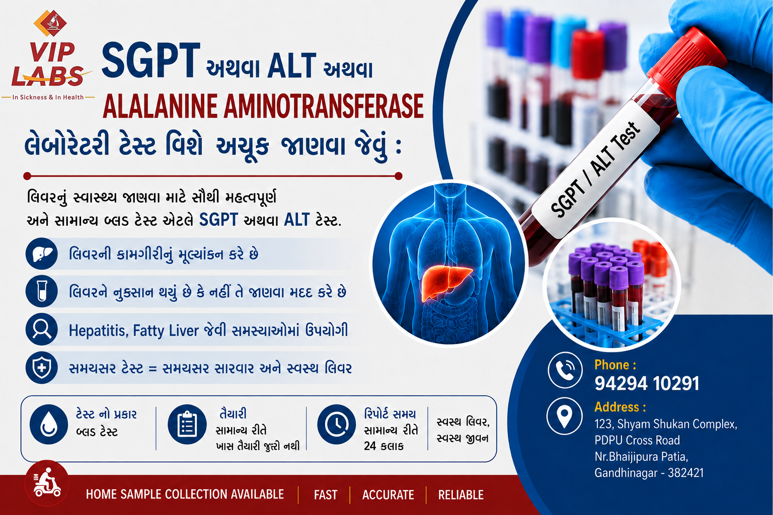 SGPT અથવા ALT અથવા ALALANINE AMINOTRANSFERASE લેબોરેટરી ટેસ્ટ વિષે  અચૂક જાણવા જેવું : 
