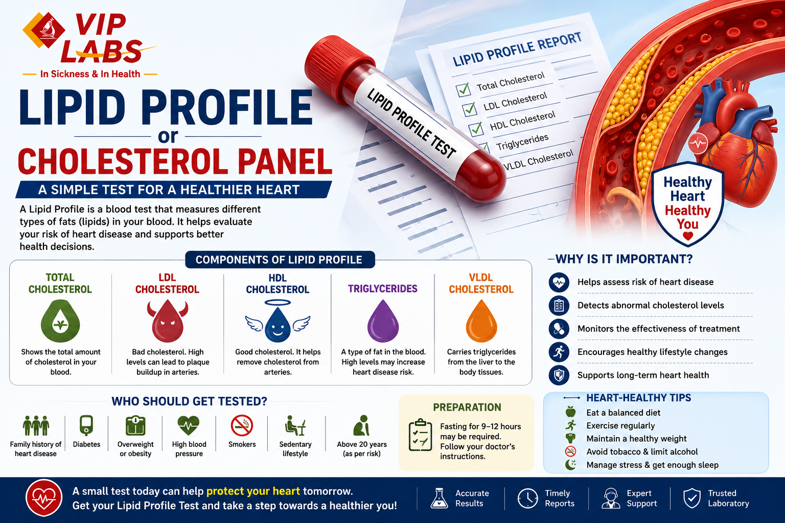 Lipid Profile or Cholesterol Panel Lab Tests