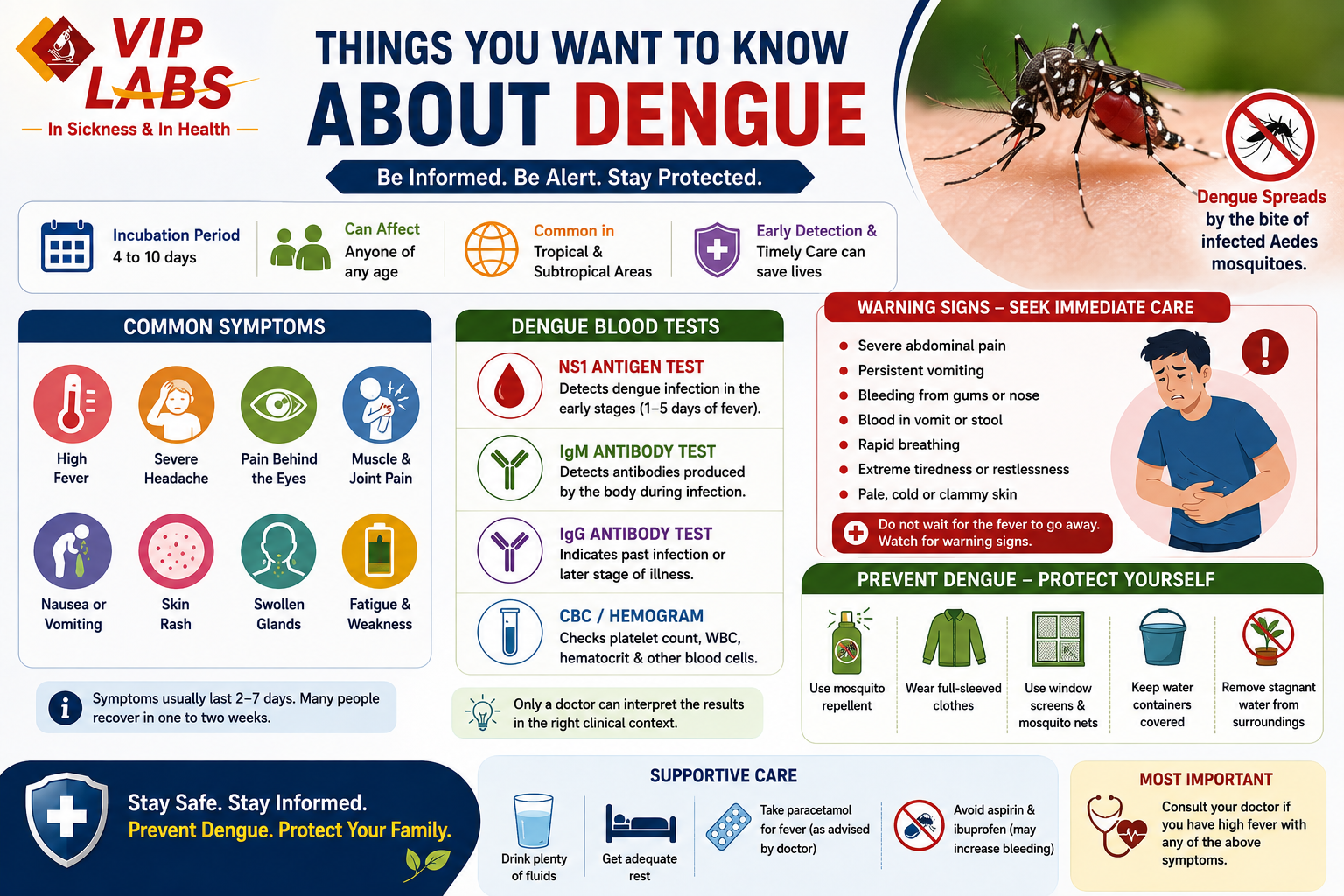 Things you want you know about Dengue